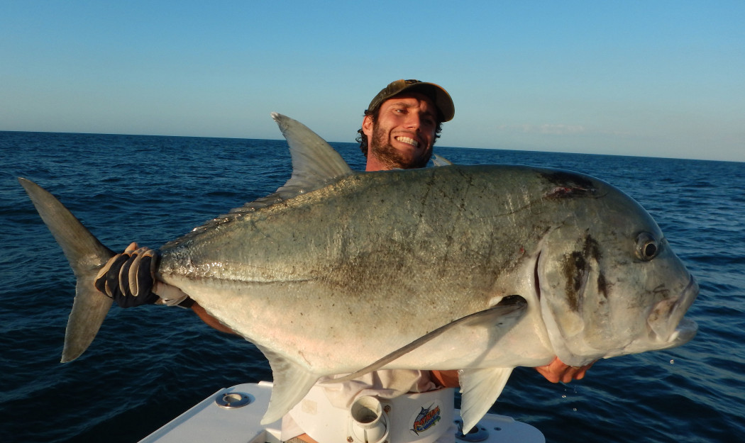 Giant trevally catturata sul bordo della barriera